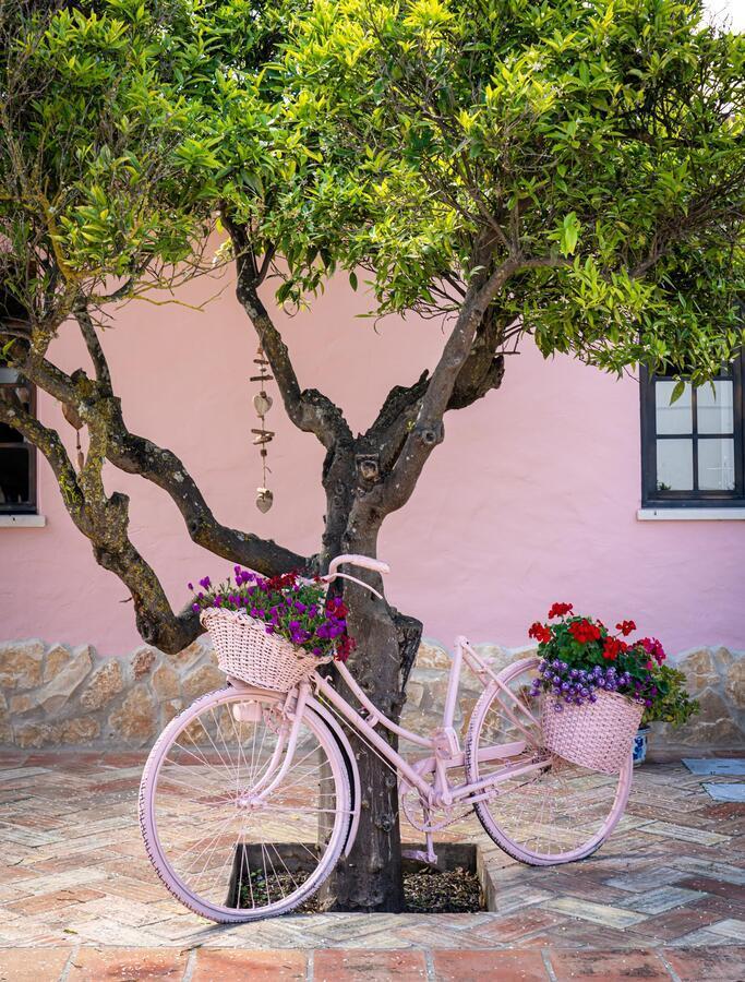 Quinta Aida Cottage And B&B Suites Lagoa  Dış mekan fotoğraf