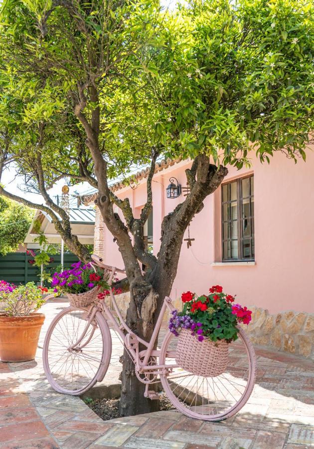 Quinta Aida Cottage And B&B Suites Lagoa  Dış mekan fotoğraf