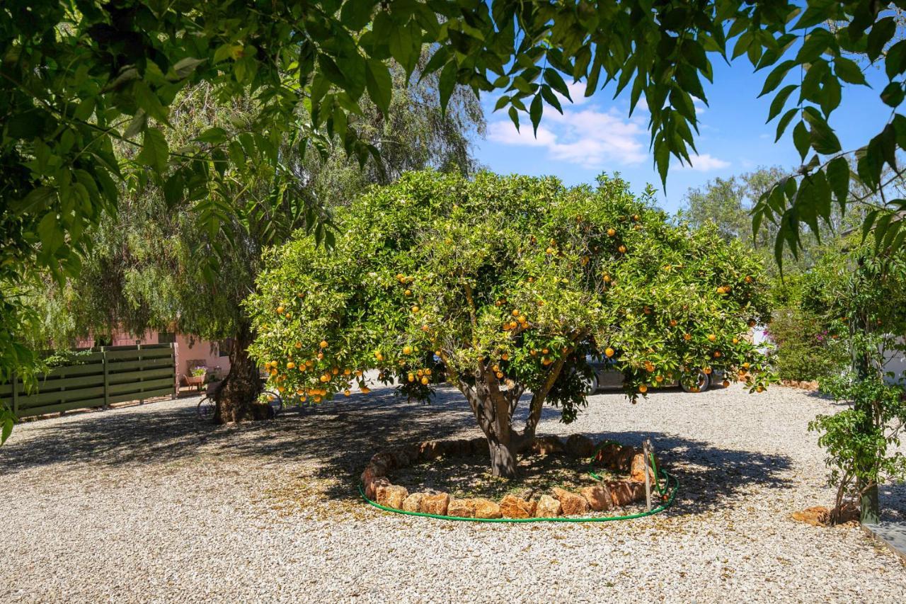 Quinta Aida Cottage And B&B Suites Lagoa  Dış mekan fotoğraf